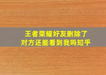 王者荣耀好友删除了对方还能看到我吗知乎