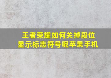 王者荣耀如何关掉段位显示标志符号呢苹果手机