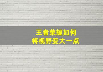 王者荣耀如何将视野变大一点