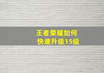 王者荣耀如何快速升级15级