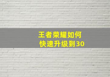 王者荣耀如何快速升级到30