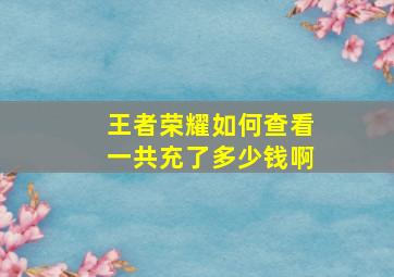 王者荣耀如何查看一共充了多少钱啊