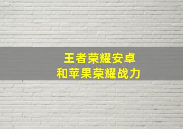 王者荣耀安卓和苹果荣耀战力