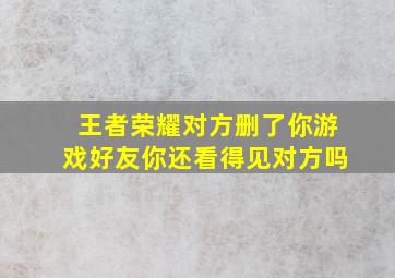 王者荣耀对方删了你游戏好友你还看得见对方吗