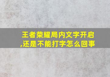 王者荣耀局内文字开启,还是不能打字怎么回事