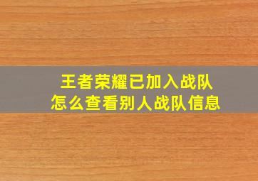 王者荣耀已加入战队怎么查看别人战队信息