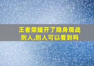 王者荣耀开了隐身观战别人,别人可以看到吗