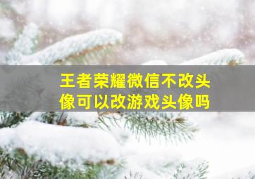 王者荣耀微信不改头像可以改游戏头像吗