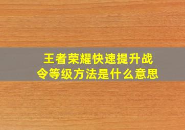 王者荣耀快速提升战令等级方法是什么意思