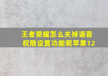 王者荣耀怎么关掉语音权限设置功能呢苹果12