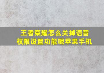 王者荣耀怎么关掉语音权限设置功能呢苹果手机