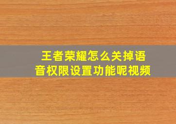 王者荣耀怎么关掉语音权限设置功能呢视频