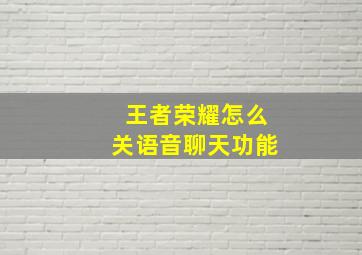 王者荣耀怎么关语音聊天功能