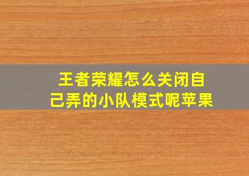 王者荣耀怎么关闭自己弄的小队模式呢苹果