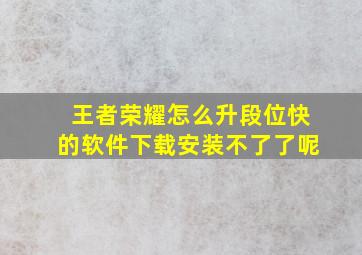 王者荣耀怎么升段位快的软件下载安装不了了呢