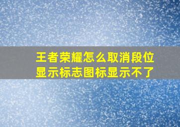 王者荣耀怎么取消段位显示标志图标显示不了