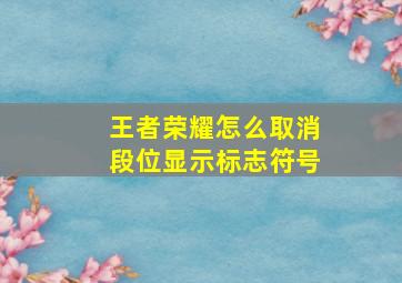 王者荣耀怎么取消段位显示标志符号