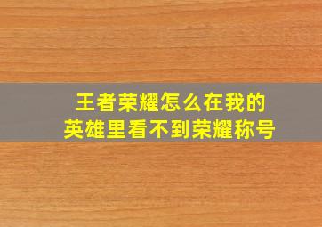 王者荣耀怎么在我的英雄里看不到荣耀称号