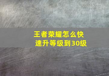 王者荣耀怎么快速升等级到30级