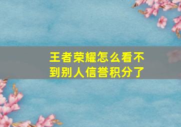 王者荣耀怎么看不到别人信誉积分了