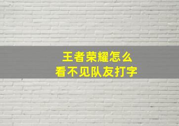 王者荣耀怎么看不见队友打字