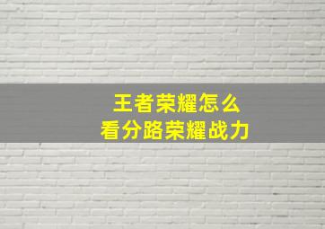 王者荣耀怎么看分路荣耀战力