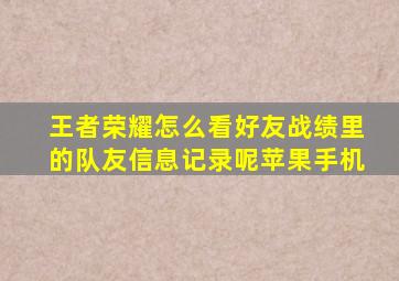 王者荣耀怎么看好友战绩里的队友信息记录呢苹果手机