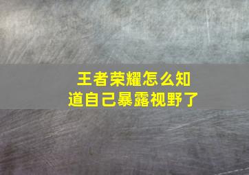 王者荣耀怎么知道自己暴露视野了