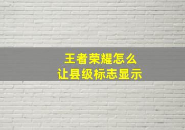 王者荣耀怎么让县级标志显示