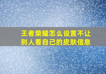 王者荣耀怎么设置不让别人看自己的皮肤信息