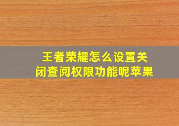 王者荣耀怎么设置关闭查阅权限功能呢苹果