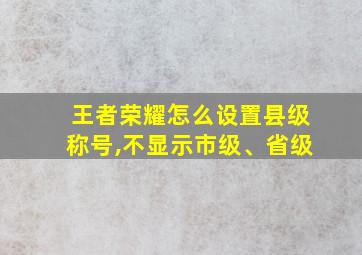 王者荣耀怎么设置县级称号,不显示市级、省级