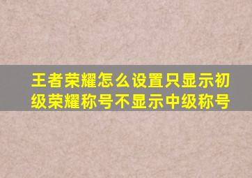 王者荣耀怎么设置只显示初级荣耀称号不显示中级称号