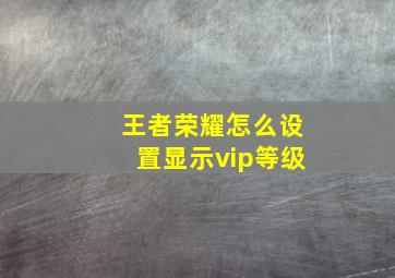 王者荣耀怎么设置显示vip等级