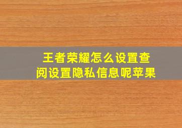 王者荣耀怎么设置查阅设置隐私信息呢苹果