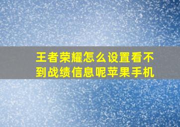 王者荣耀怎么设置看不到战绩信息呢苹果手机