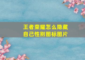 王者荣耀怎么隐藏自己性别图标图片