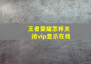 王者荣耀怎样关闭vip显示在线