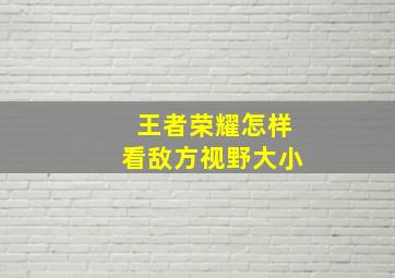 王者荣耀怎样看敌方视野大小