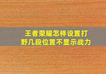 王者荣耀怎样设置打野几段位置不显示战力