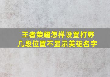 王者荣耀怎样设置打野几段位置不显示英雄名字