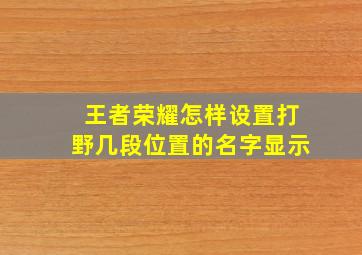 王者荣耀怎样设置打野几段位置的名字显示