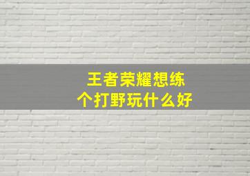 王者荣耀想练个打野玩什么好