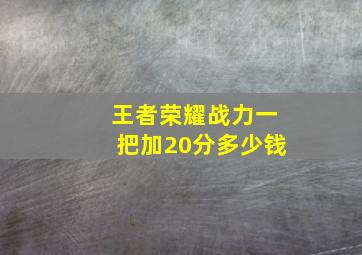 王者荣耀战力一把加20分多少钱