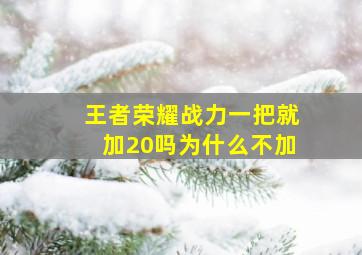 王者荣耀战力一把就加20吗为什么不加