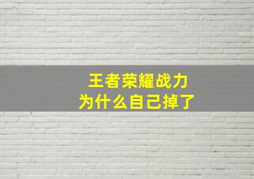 王者荣耀战力为什么自己掉了