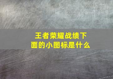 王者荣耀战绩下面的小图标是什么