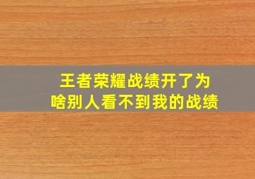 王者荣耀战绩开了为啥别人看不到我的战绩