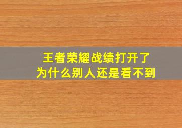 王者荣耀战绩打开了为什么别人还是看不到