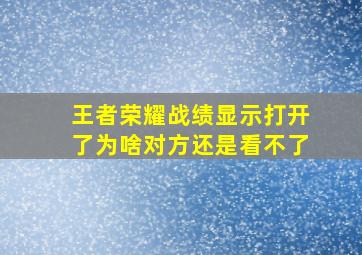 王者荣耀战绩显示打开了为啥对方还是看不了